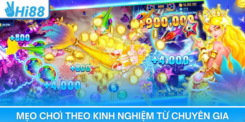 Mẹo chơi theo kinh nghiệm từ chuyên gia