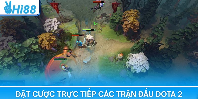 Thành viên theo dõi và đặt cược trực tiếp các trận đấu Dota 2